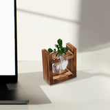 Maxbell Hydroponic Vase Planter Tabletop Glass Vase for Bookshelf Living Room Office 1 Glass Vase