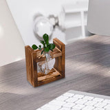 Maxbell Hydroponic Vase Planter Tabletop Glass Vase for Bookshelf Living Room Office 1 Glass Vase