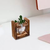 Maxbell Hydroponic Vase Planter Tabletop Glass Vase for Bookshelf Living Room Office 1 Glass Vase