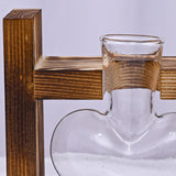 Maxbell Hydroponic Vase Planter Tabletop Glass Vase for Bookshelf Living Room Office 1 Glass Vase