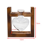 Maxbell Hydroponic Vase Planter Tabletop Glass Vase for Bookshelf Living Room Office 1 Glass Vase