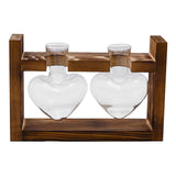 Maxbell Hydroponic Vase Planter Tabletop Glass Vase for Bookshelf Living Room Office 2 Glass Vases