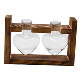 Maxbell Hydroponic Vase Planter Tabletop Glass Vase for Bookshelf Living Room Office 2 Glass Vases