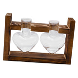 Maxbell Hydroponic Vase Planter Tabletop Glass Vase for Bookshelf Living Room Office 2 Glass Vases