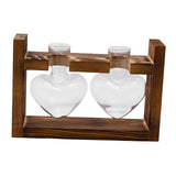 Maxbell Hydroponic Vase Planter Tabletop Glass Vase for Bookshelf Living Room Office 2 Glass Vases