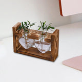 Maxbell Hydroponic Vase Planter Tabletop Glass Vase for Bookshelf Living Room Office 2 Glass Vases