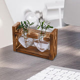 Maxbell Hydroponic Vase Planter Tabletop Glass Vase for Bookshelf Living Room Office 2 Glass Vases