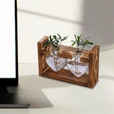 Maxbell Hydroponic Vase Planter Tabletop Glass Vase for Bookshelf Living Room Office 2 Glass Vases