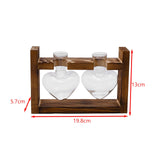 Maxbell Hydroponic Vase Planter Tabletop Glass Vase for Bookshelf Living Room Office 2 Glass Vases