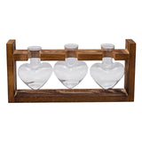 Maxbell Hydroponic Vase Planter Tabletop Glass Vase for Bookshelf Living Room Office 3 Glass Vases