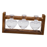 Maxbell Hydroponic Vase Planter Tabletop Glass Vase for Bookshelf Living Room Office 3 Glass Vases