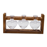 Maxbell Hydroponic Vase Planter Tabletop Glass Vase for Bookshelf Living Room Office 3 Glass Vases