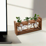 Maxbell Hydroponic Vase Planter Tabletop Glass Vase for Bookshelf Living Room Office 3 Glass Vases