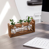 Maxbell Hydroponic Vase Planter Tabletop Glass Vase for Bookshelf Living Room Office 3 Glass Vases