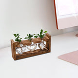 Maxbell Hydroponic Vase Planter Tabletop Glass Vase for Bookshelf Living Room Office 3 Glass Vases