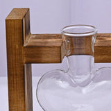 Maxbell Hydroponic Vase Planter Tabletop Glass Vase for Bookshelf Living Room Office 3 Glass Vases