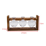 Maxbell Hydroponic Vase Planter Tabletop Glass Vase for Bookshelf Living Room Office 3 Glass Vases