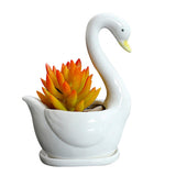 Maxbell White Swan Ceramic Flower Pot Plant Succulent Pot for Home Decorative Bonsai