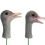 Maxbell 2x Bird Garden Stakes Yard Art Ornament Lawn Decoration Ostrich Resin Statue