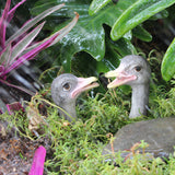 Maxbell 2x Bird Garden Stakes Yard Art Ornament Lawn Decoration Ostrich Resin Statue