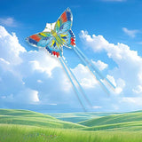 Maxbell Huge Kite Durable Easy to Fly Outdoor Fly Kite Game for Holiday Outdoor Lawn Style B