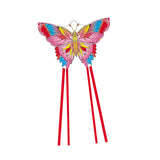 Maxbell Huge Kite Durable Easy to Fly Outdoor Fly Kite Game for Holiday Outdoor Lawn Style C