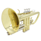 Max LADE Professional Bb Flat Cornet Brass Instrument with Carrying Case Gloves