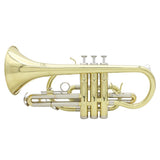 Max LADE Professional Bb Flat Cornet Brass Instrument with Carrying Case Gloves