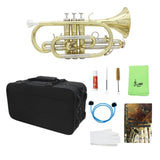 Max LADE Professional Bb Flat Cornet Brass Instrument with Carrying Case Gloves