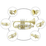 Max LADE Professional Bb Flat Cornet Brass Instrument with Carrying Case Gloves