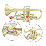 Max LADE Professional Bb Flat Cornet Brass Instrument with Carrying Case Gloves