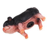 Max Cute Pig Piggy Bank Collectible Chinese Zodiac Pig Figurine Gift Black