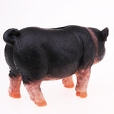 Max Cute Pig Piggy Bank Collectible Chinese Zodiac Pig Figurine Gift Black