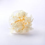 Maxbell UV Artificial Flower for DIY Nail Beauty 10 Colors White