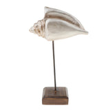 Max Durable Resin Crafts Shell Ocean Figurine for Home Desktop Ornaments A