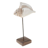 Max Durable Resin Crafts Shell Ocean Figurine for Home Desktop Ornaments A