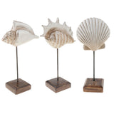 Max Durable Resin Crafts Shell Ocean Figurine for Home Desktop Ornaments A