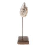 Max Durable Resin Crafts Shell Ocean Figurine for Home Desktop Ornaments A