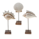 Max Durable Resin Crafts Shell Ocean Figurine for Home Desktop Ornaments A