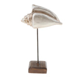 Max Durable Resin Crafts Shell Ocean Figurine for Home Desktop Ornaments A