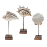 Max Durable Resin Crafts Shell Ocean Figurine for Home Desktop Ornaments A