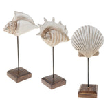 Max Durable Resin Crafts Shell Ocean Figurine for Home Desktop Ornaments A