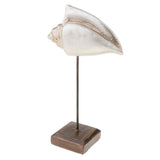 Max Durable Resin Crafts Shell Ocean Figurine for Home Desktop Ornaments A