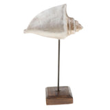 Max Durable Resin Crafts Shell Ocean Figurine for Home Desktop Ornaments A