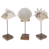 Max Durable Resin Crafts Shell Ocean Figurine for Home Desktop Ornaments A