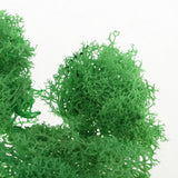 Max 500ML Model Sand Table Grass Vegetation for Simulation Scenery Green