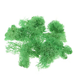 Max 500ML Model Sand Table Grass Vegetation for Simulation Scenery Green