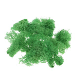 Max 500ML Model Sand Table Grass Vegetation for Simulation Scenery Green
