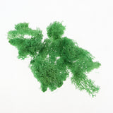 Max 500ML Model Sand Table Grass Vegetation for Simulation Scenery Green