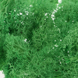 Max 500ML Model Sand Table Grass Vegetation for Simulation Scenery Green